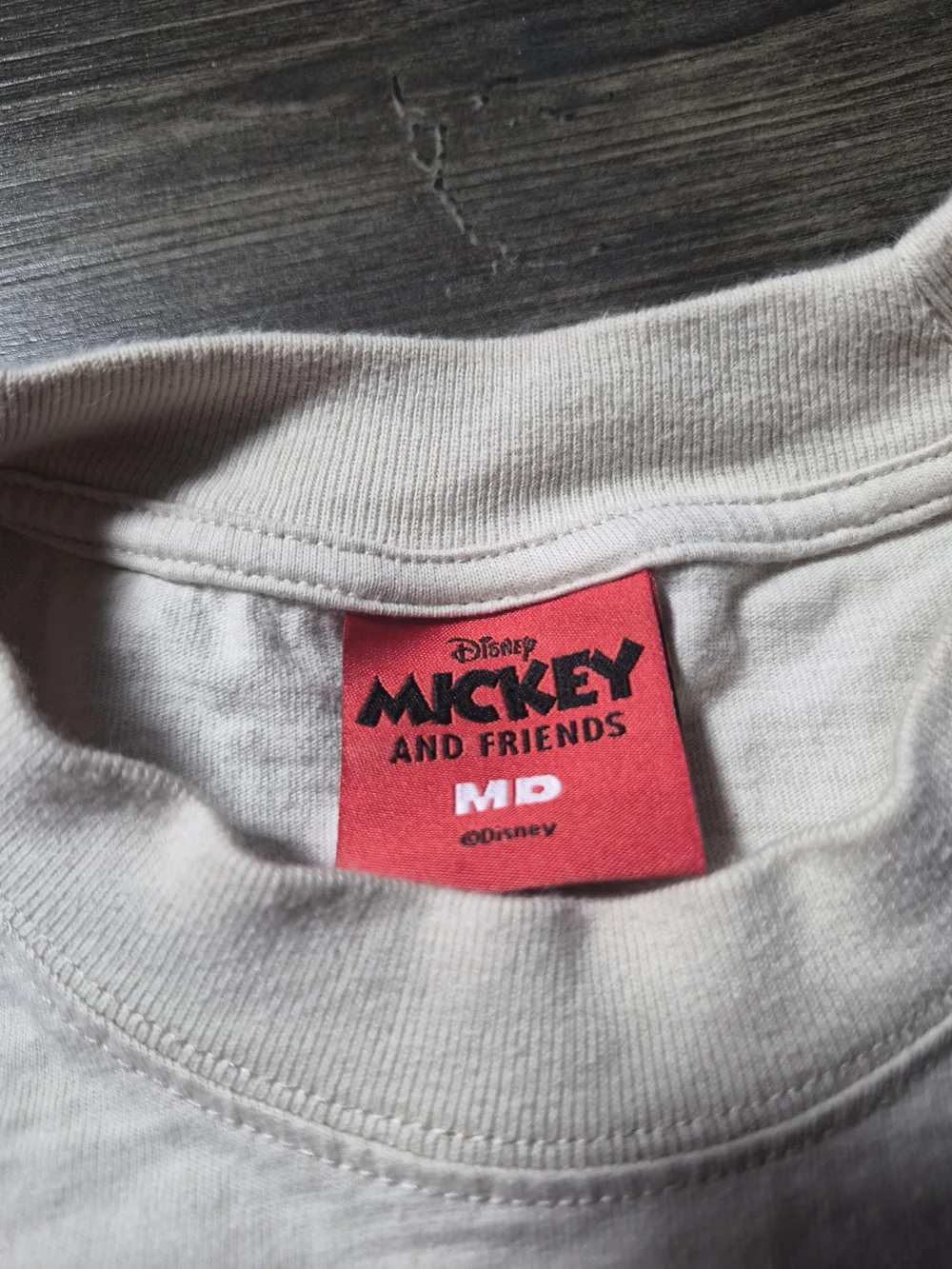 PALACE shoe disney